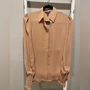 Express sheer collared top